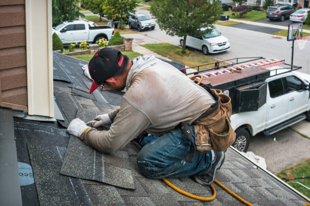 Professional Roof Replacement technician working in Wimbledon, ND